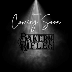 Gadsden "Don't Tread On Me" AR-15 Pistol